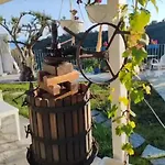 Message In A Bottle