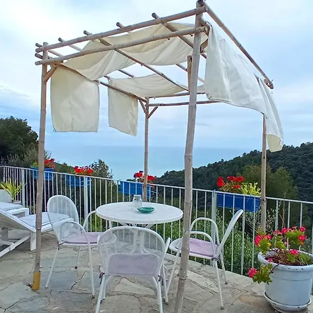 Bed & Breakfast Message In A Bottle