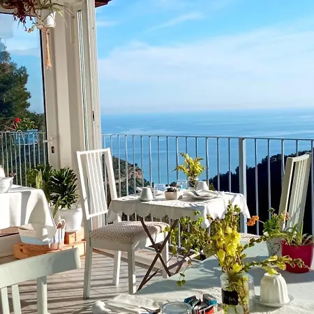 Bed & Breakfast Message In A Bottle
