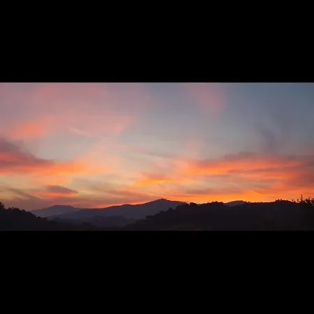 Message In A Bottle 4*