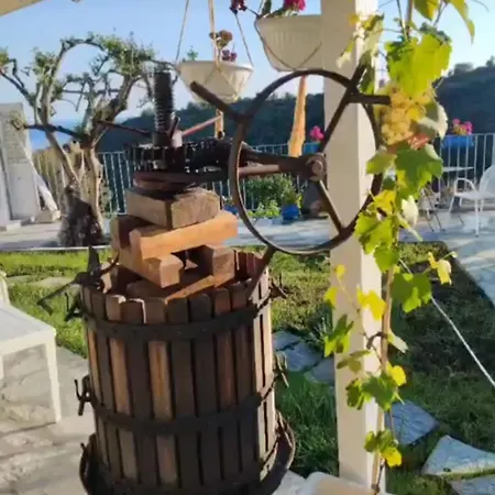 Message In A Bottle