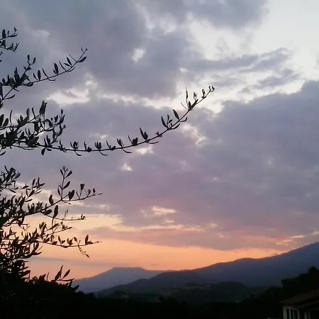 Message In A Bottle 4*