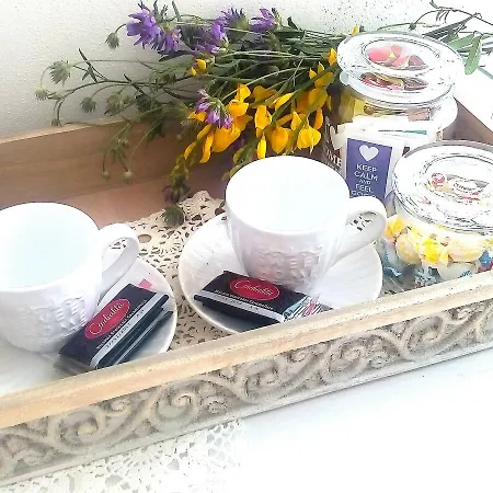 Message In A Bottle Bed and Breakfast